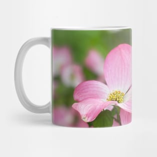 Dogwood Flowers in Spring Mug